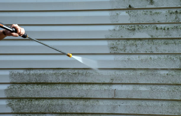 Best Driveway Pressure Washing  in Lifornia City, CA